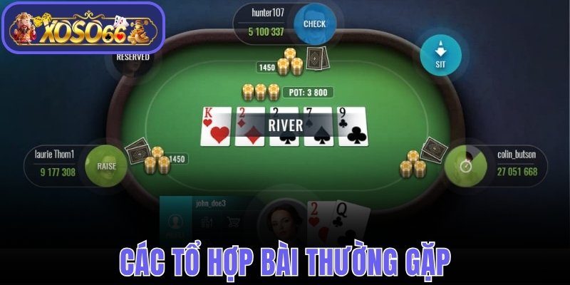 Các tổ hợp bài thường gặp