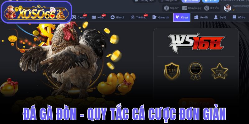 Đá Gà Đòn - Quy Tắc Cá Cược Đơn Giản Từ Chuyên Gia