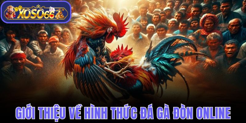 Giới thiệu về hình thức đá gà đòn online 