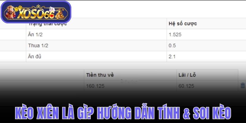 Kèo Xiên Là Gì? Hướng Dẫn Cách Tính & Soi Kèo Chuẩn Nhất