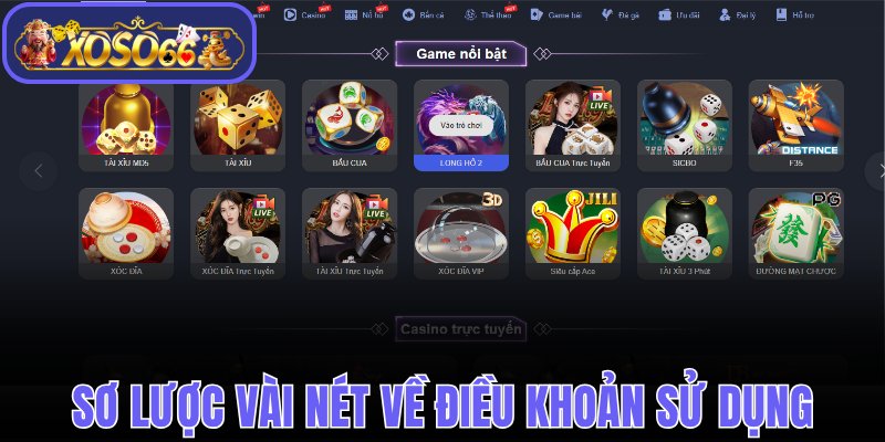 Sơ lược vài nét về điều khoản sử dụng